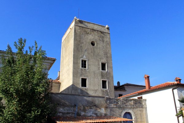 Dajla - photo 12