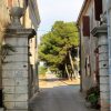 Dajla - photo 15
