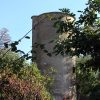 Dajla - photo 16