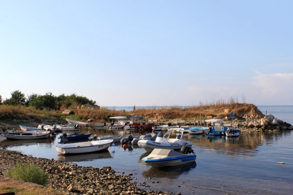 Dajla - photo 19