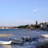Dajla - photo 2