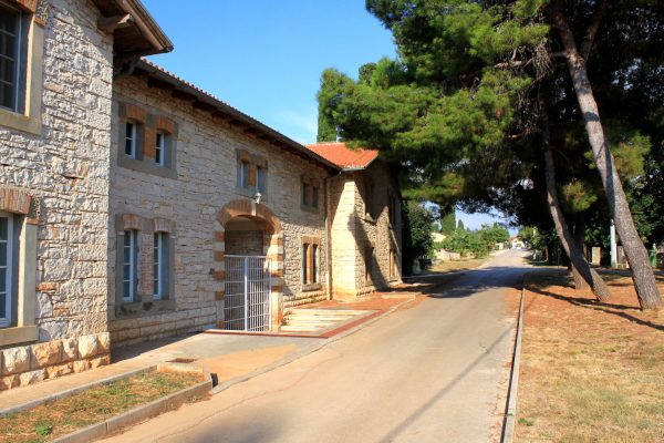 Dajla - photo 7