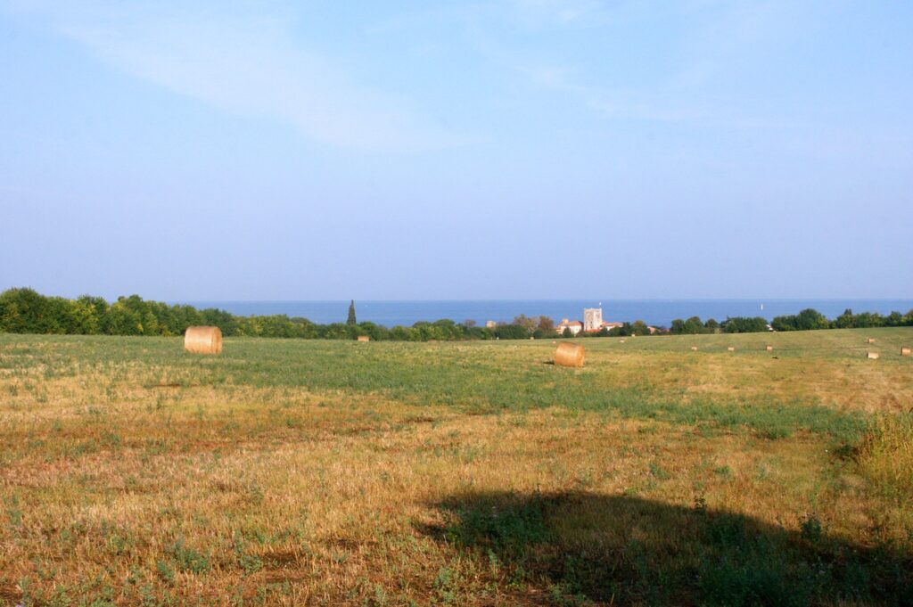 Istria Novigrad Mareda Croatia