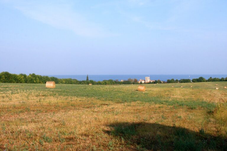Mareda