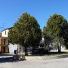 Nova Vas - photo 4