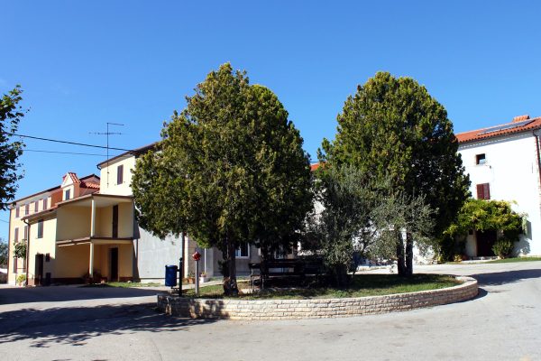 Nova Vas - photo 4