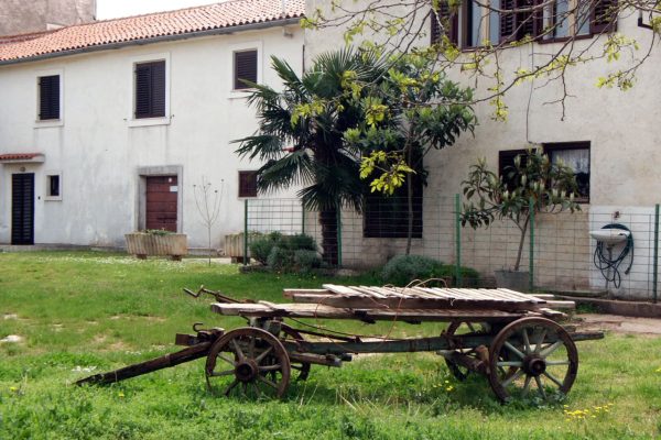 Červar - photo 3