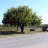 Flengi - photo 2