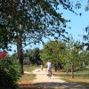 Funtana - photo 20