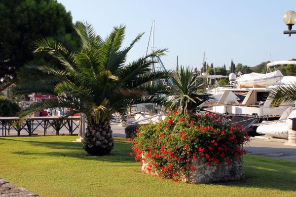Vrsar - photo 28