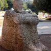 Vrsar - photo 48