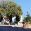Štinjan - photo 3