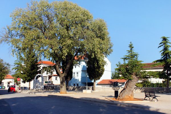 Štinjan - photo 3