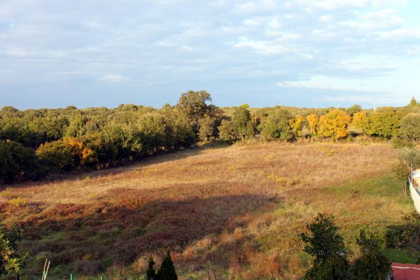 Vinkuran - photo 2