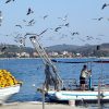 Rovinj - photo 15