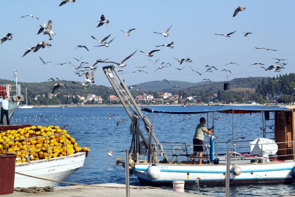 Rovinj - photo 15