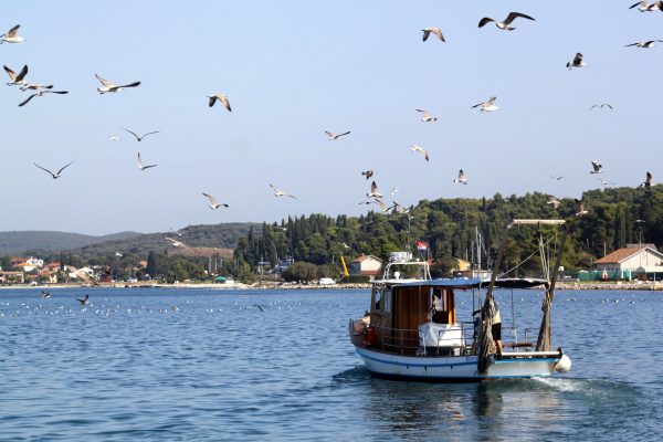 Rovinj - photo 20