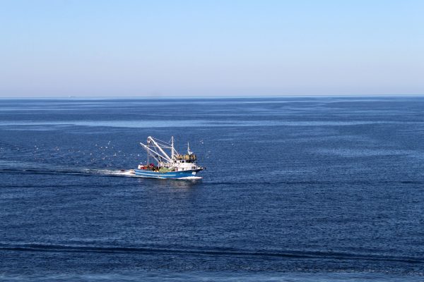 Rovinj - photo 33