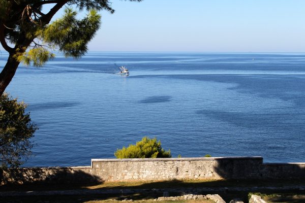 Rovinj - photo 37