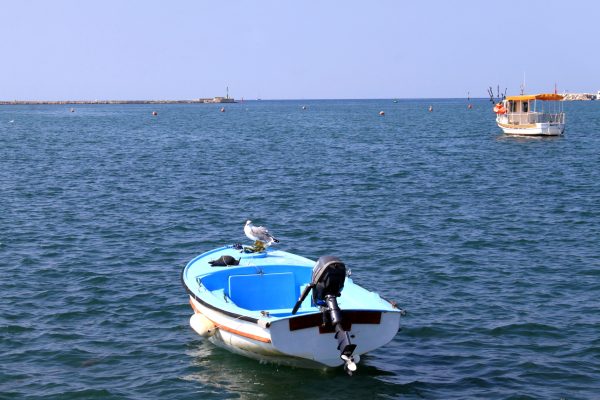 Umag - photo 16