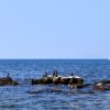 Umag - photo 18