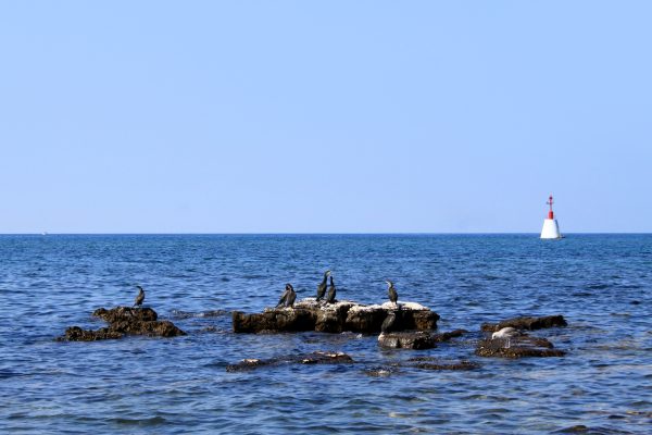 Umag - photo 18