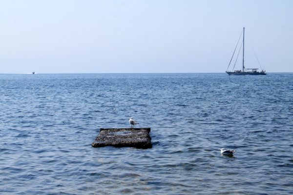 Umag - photo 21