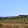 Crveni Vrh - photo 8