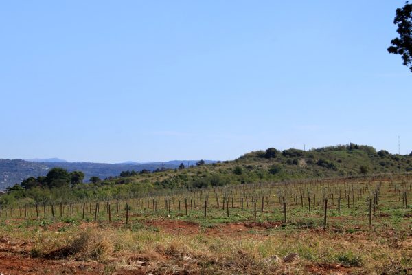Crveni Vrh - photo 8
