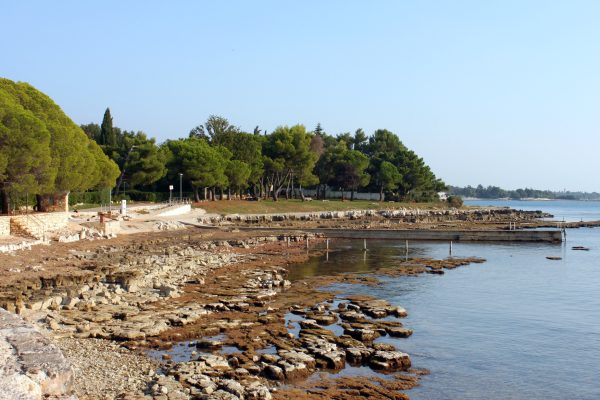 Duba - photo 3