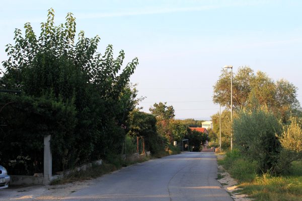 Fratrici