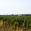 Rožac - photo 1