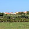Zambratija - photo 11