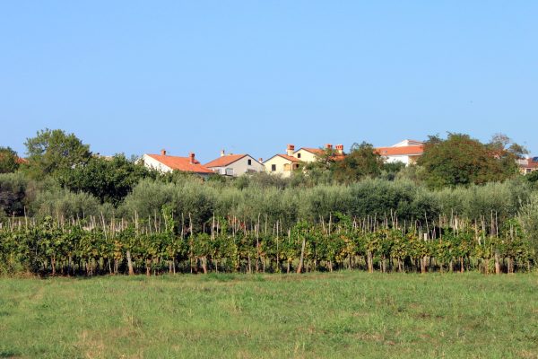 Zambratija - photo 11