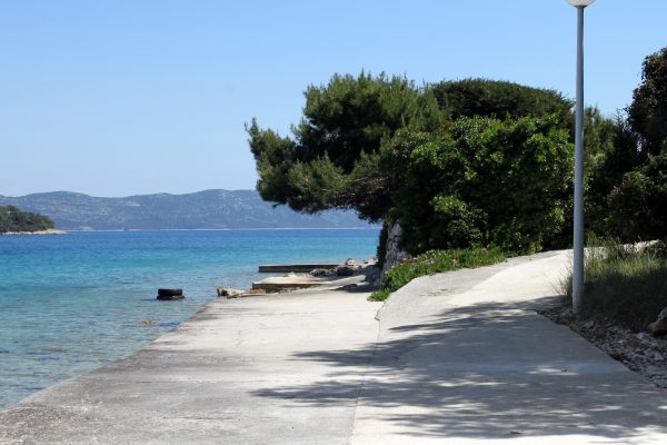 Veli Iž - photo 30