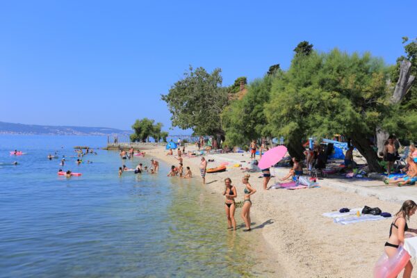Šumica - photo 2