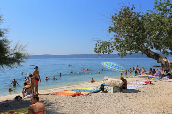 Šumica - photo 7