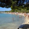 Resnik - photo 2