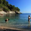 Bačva - photo 8