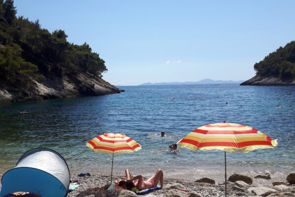 Bačva - photo 9