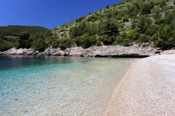 Bratinja Luka - photo 11