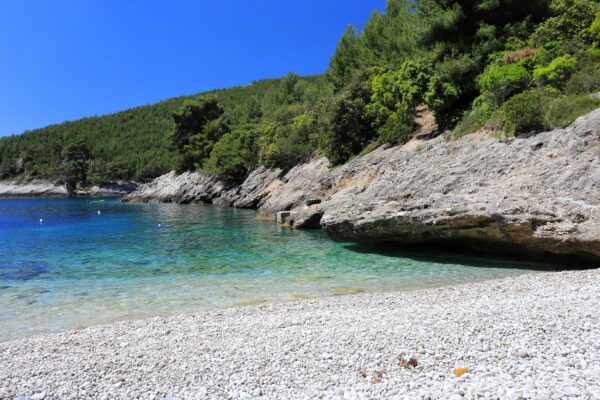 Bratinja Luka - photo 18