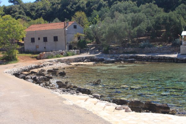 Gršćica - photo 17
