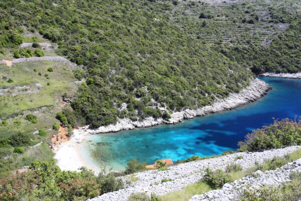 Orlanduša - photo 13