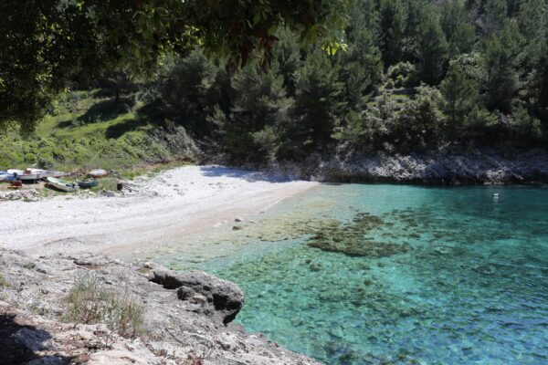 Pavija Luka - photo 5