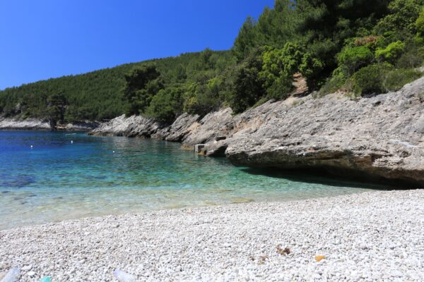 Pavija Luka - photo 6
