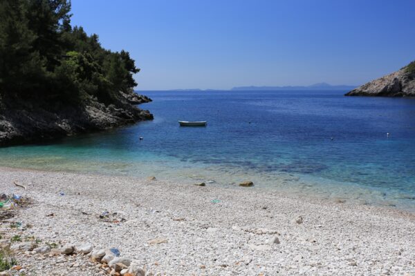 Pavija Luka - photo 7