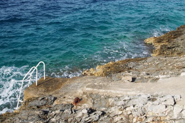 Prigradica - photo 19