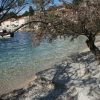 Račišće - photo 35