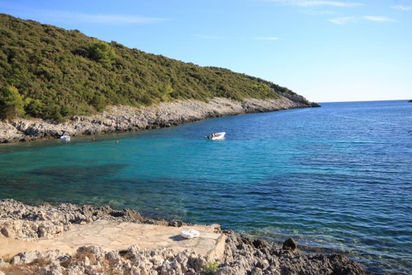 Rasohatica - photo 20